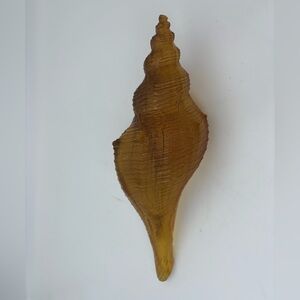 Vintage Lucite or Resin Amber Translucent Fusis Seashell Decor